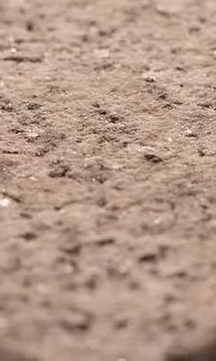 Alpina · Coral — Natural Stone, Coral finish